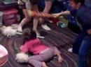 children playing