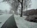 Django in de sneeuw 2