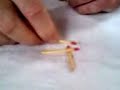 Palitos Er�ticos