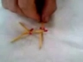 Palitos Er�ticos