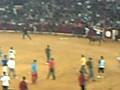 Vacas Manteiga