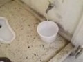 The famous toilet (arabic)