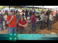 Swine Show