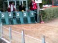 EM Sloughi Hündinnen 2009
