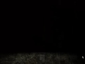 Max Payne Story Run - Part III, Chapter 7