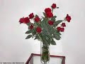 MARGHERITA-CAGOL