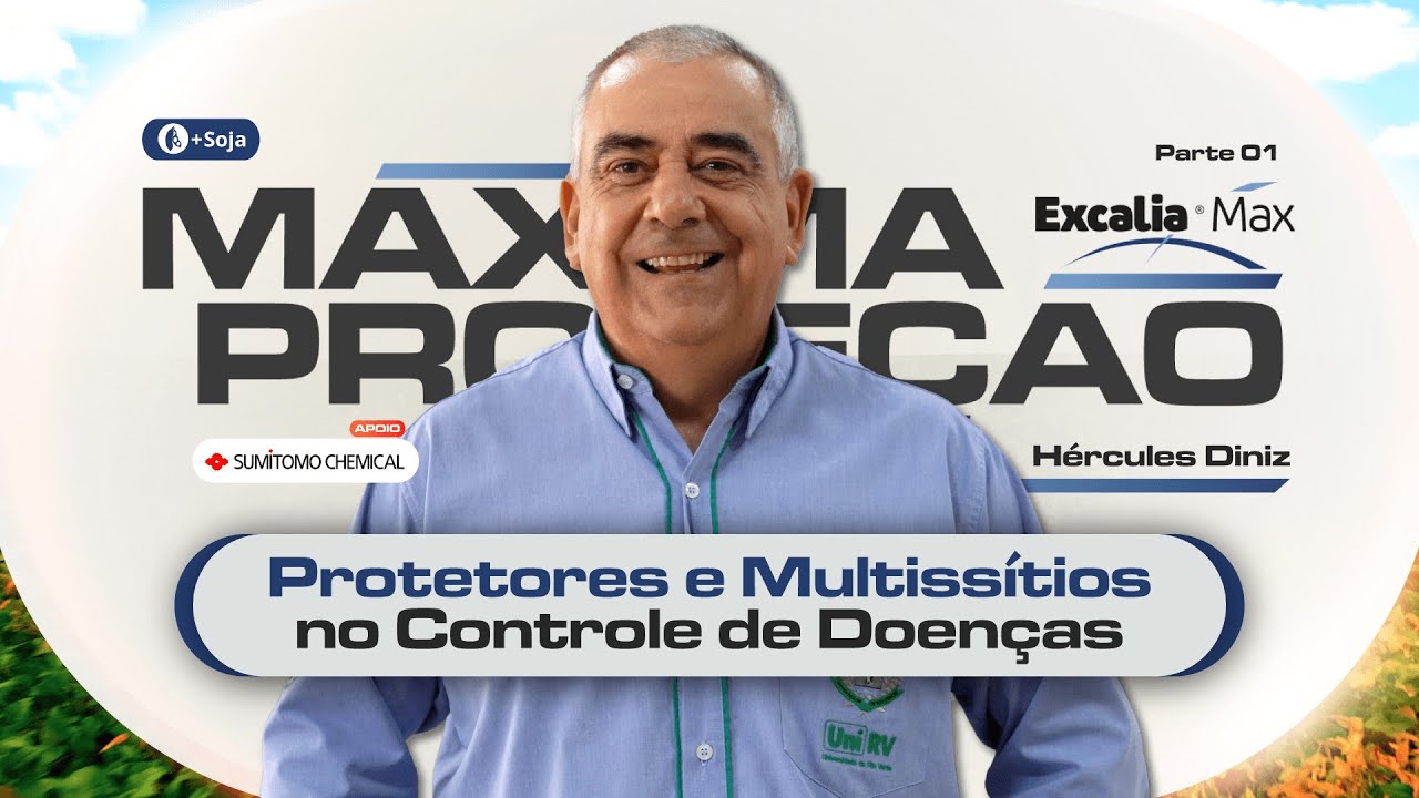 Protetores e MULTISSÍTIOS - MÁXIMA PROTEÇÃO | Episódio 8 - parte 1