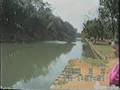 1993-004 ハバラナの朝と世界遺産シーギリヤロック Habarana and Sigiriya