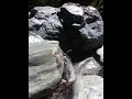 video2.mov Video video2.mov Video