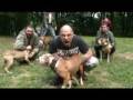 Serbian Skinheads