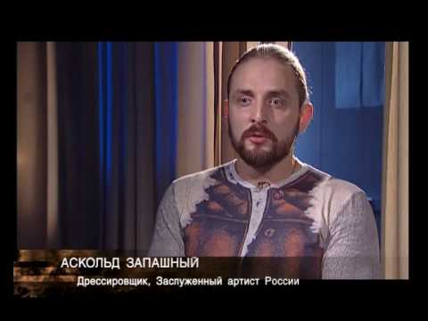 Просмотр видео