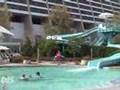 Disney's Contemporary Resort