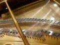 Allison playing at the Fazioli Piano Factory