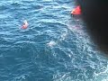 Coast Guard Rescues Seven Coast Guard Rescues Seven
