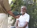 Macaw Blues (part one): A Postmortem for the Glaucous Macaw