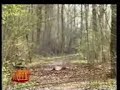 Scherzone_mpeg4.mp4