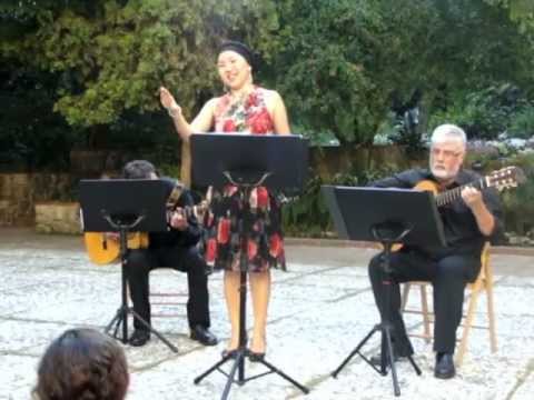 Premi de literatura breu 'Flor de Sant Joan 2012'