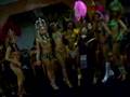 Well-Brasil-Julio-C-