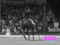 Eventing - Can you handle it? 100 Subscribers!!
