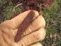 metal detecting Saving History: Episode 9-DIV 7(Day 2)