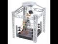 JAKKS PACIFIC - WWE RELEASES FOR JAN. '09