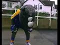 rocky vs ronnie rhino