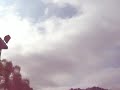 YF-22 XXL YF-22 XXL