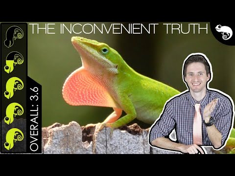 YouTube reptile video