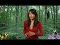 Daily Greens 72 - Eco-News with Attitude