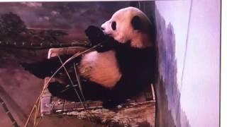 Smithsonian National Zoo