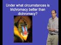 Jeremy Nathans (John