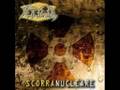 Nettezza - Scorra Nucleare - promo