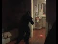 wild-kidnapping-caught-on-tape.html