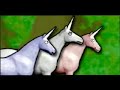 Hey-hey-he-he-hey Charlie the Unicorn Remix (Speedy)
