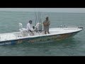 Monster Hammerhead Shark Chew On This Fishing Show Monster Hammerhead Shark Chew On This Fishing Show