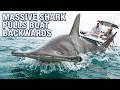 Monster Hammerhead Shark Chew On This Fishing Show