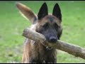 day-1-digg-and-999-8-wishes-in-30-days.html