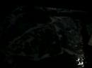 scylla and charybdis