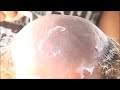 Chris gets a hair cut