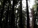 hikin'