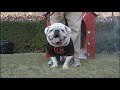UGA VI from the Georgia Black Out vs. Auburn 2007 UGA VI from the Georgia Black Out vs. Auburn 2007