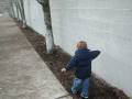 Tree Hugging Baby
