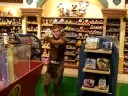 Bryan in Dland Store