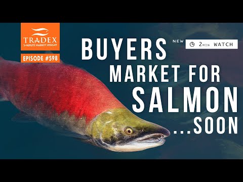 3MMI - Salmon Update: Buyer’s Market Soon, Quality Alert, Pink Chum Coho Next