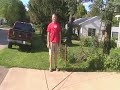 Tree Felling