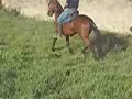 UM FILHO DO  BALUKE DE MALTA  - PDR�O DO MARFIM