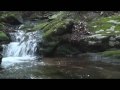 Mary Edwards Demo Video