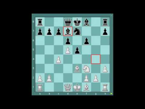 chess knight chess knight
