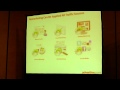 SES Intro to Remarketing Panel.MOV