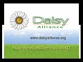 daisy alliance (www.daisyalliance.org) was founded by bruce roth in 2006 as a global grassroots organization which promotes the non-proliferation, disarmament and elimination of nuclear weapons, biological weapons, and chemical weapons?all types of weapons of mass destruction, or wmds. daisy alliance raises funds from the sale of its products: lapel pins and a book written by its founder, 